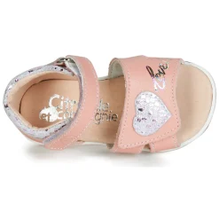 Citrouille et Compagnie - JAFALGA