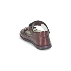 Citrouille et Compagnie - FRIZZY Bordeaux Hot