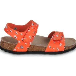 Citrouille et Compagnie - PISTAMI