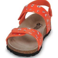 Citrouille et Compagnie - PISTAMI