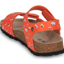 Citrouille et Compagnie - PISTAMI