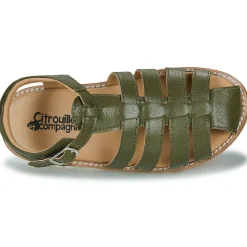 Citrouille et Compagnie - ASMILO