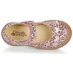 Citrouille et Compagnie - JALIPINE