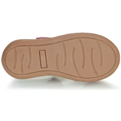 Citrouille et Compagnie - JALIPINE