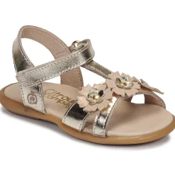 Hot Citrouille et Compagnie - MARELLE Argenté