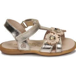 Hot Citrouille et Compagnie - MARELLE Argenté