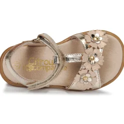 Hot Citrouille et Compagnie - MARELLE Argenté