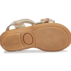 Hot Citrouille et Compagnie - MARELLE Argenté