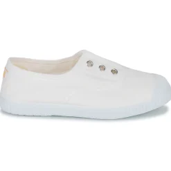 Citrouille et Compagnie - WOODEN