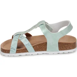 Citrouille et Compagnie - PAPOTI