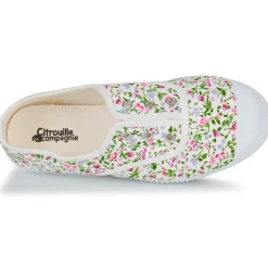 Citrouille et Compagnie - WOODEN