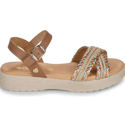 Citrouille et Compagnie - PIXI