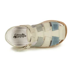 Citrouille et Compagnie - ZIDOU