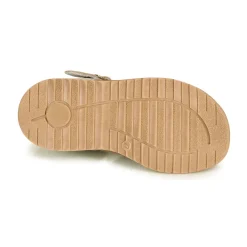 Citrouille et Compagnie - ZIDOU