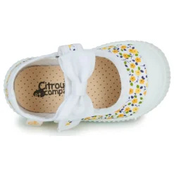 Citrouille et Compagnie - OZIMINI