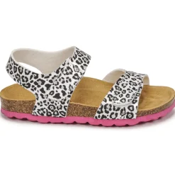 Citrouille et Compagnie - BELLI JOE