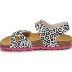 Citrouille et Compagnie - BELLI JOE