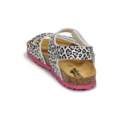 Citrouille et Compagnie - BELLI JOE