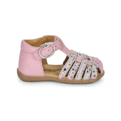 Citrouille et Compagnie - RINE