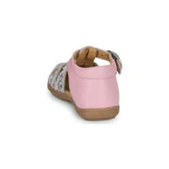 Citrouille et Compagnie - RINE