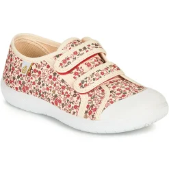 Citrouille et Compagnie - GLASSIA