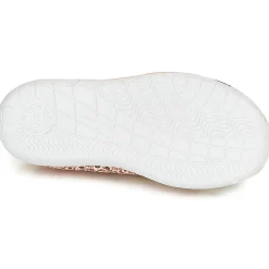 Citrouille et Compagnie - GLASSIA