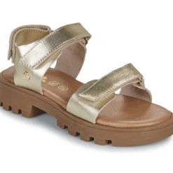 Citrouille et Compagnie - PIANA Gold