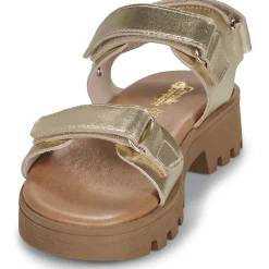 Citrouille et Compagnie - PIANA Gold