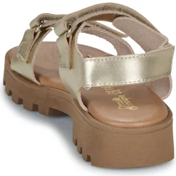 Citrouille et Compagnie - PIANA Gold