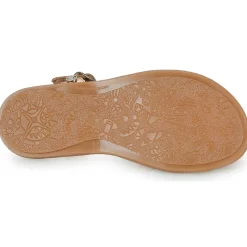 Citrouille et Compagnie - KANSAK Rose Outlet