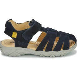 Citrouille et Compagnie - FILOLE