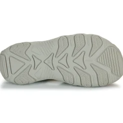 Citrouille et Compagnie - FILOLE