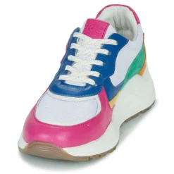 Citrouille et Compagnie - NUMANJI Clearance