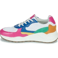 Citrouille et Compagnie - NUMANJI Clearance