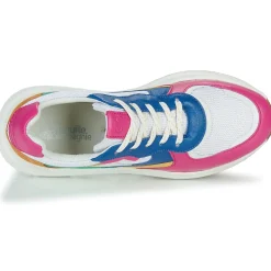 Citrouille et Compagnie - NUMANJI Clearance