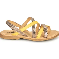 Citrouille et Compagnie - GENTOU