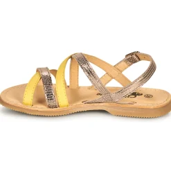 Citrouille et Compagnie - GENTOU