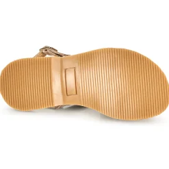 Citrouille et Compagnie - GENTOU