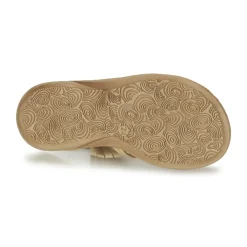 Citrouille et Compagnie - CONQUITA