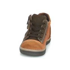 Citrouille et Compagnie - HARCO Camel