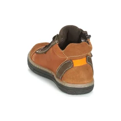 Citrouille et Compagnie - HARCO Camel