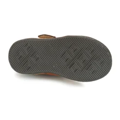 Citrouille et Compagnie - HARCO Camel