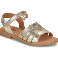 New Citrouille et Compagnie - CŒUR Gold