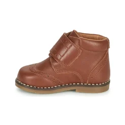 Hot Citrouille et Compagnie - PROYAL Camel