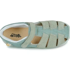 Citrouille et Compagnie - SABLO