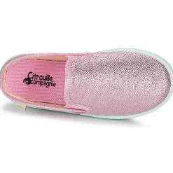 Citrouille et Compagnie - OBILA Rose Online