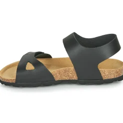 Citrouille et Compagnie - BELLI JOE Noir