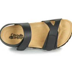 Citrouille et Compagnie - BELLI JOE Noir