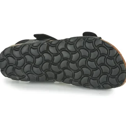 Citrouille et Compagnie - BELLI JOE Noir