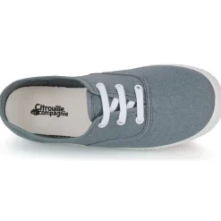 Citrouille et Compagnie - KIPPI BOU